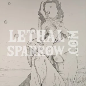 Black & White Sketch